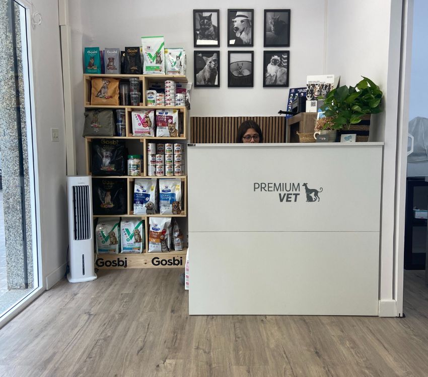 Premium Vet clínica veterinaria de confianza en Patraix, Valencia